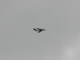 2004 Electric FunFly